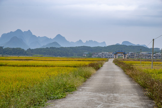 乡村风景乡村路