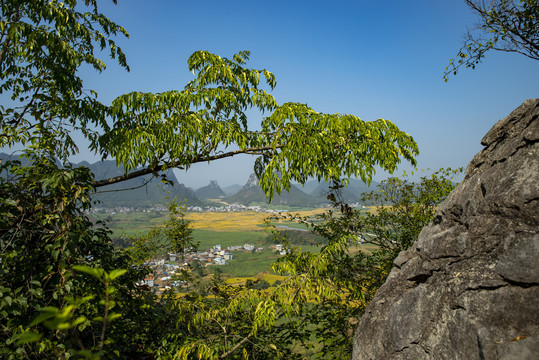 户外山顶绿树风景