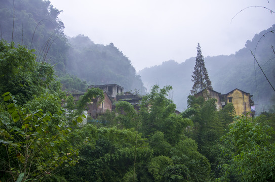 中华咀造纸厂