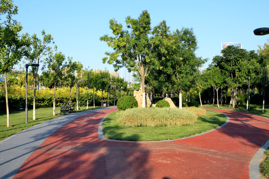 城市绿化道