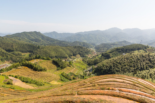 乡村风光