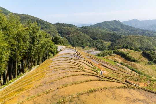 乡村风光