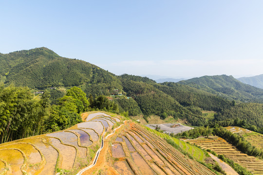 乡村风光