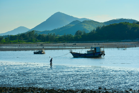 滩涂晚景