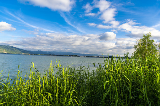 高原明珠滇池