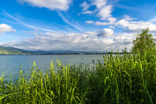 高原明珠滇池