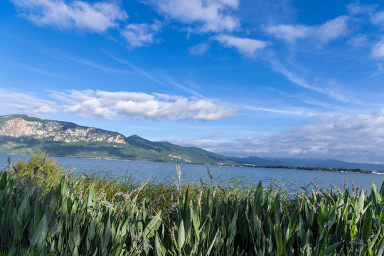 高原明珠滇池