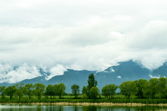 野鸭湖