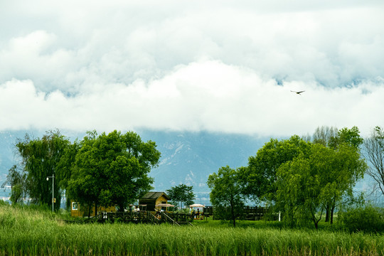 野鸭湖