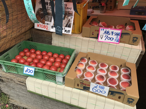 日本水果