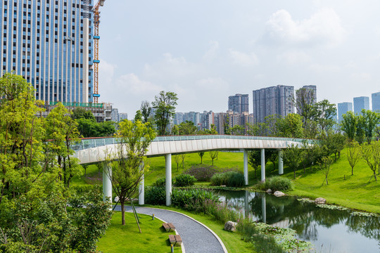 成都交子公园风景