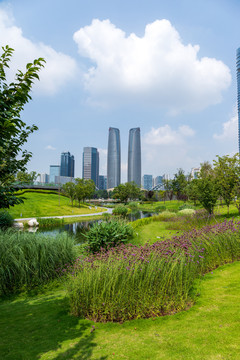 成都交子公园绿化与金融城建筑