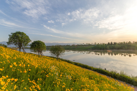 沣河夏季