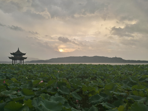 西湖风光