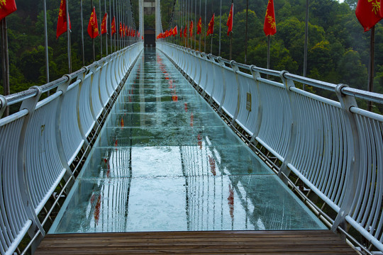 雨后的玻璃桥