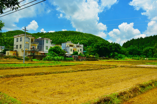 乡村田野