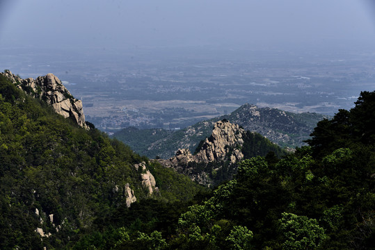 高山峡谷森林绿树