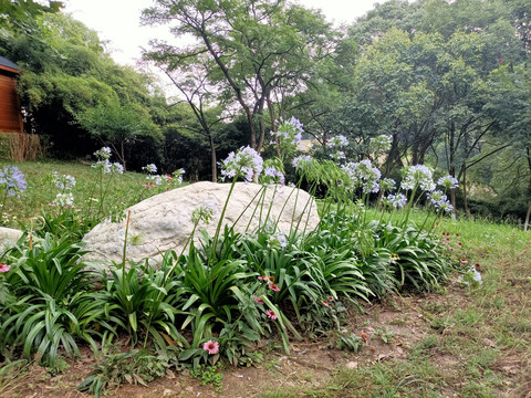 风景园林