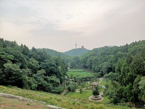 风景园林