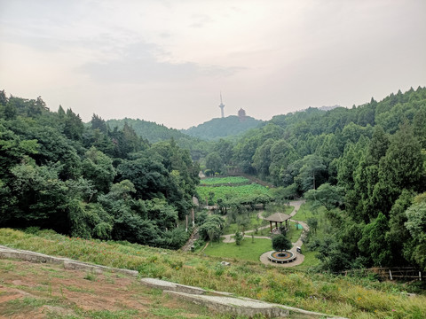 风景园林