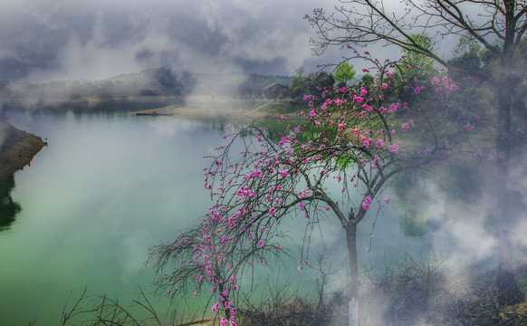 西海桃花岛