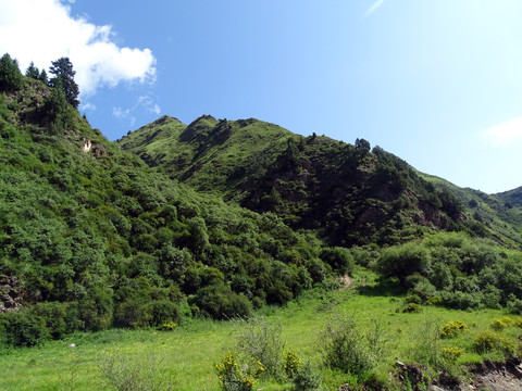 草原山坡草坪