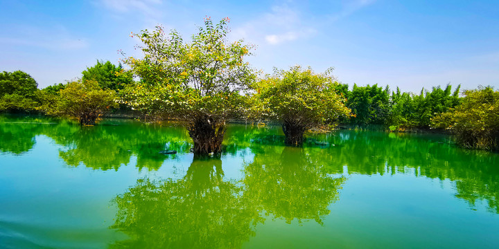 桂林相思棣湿地公园