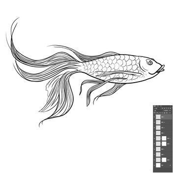 魚