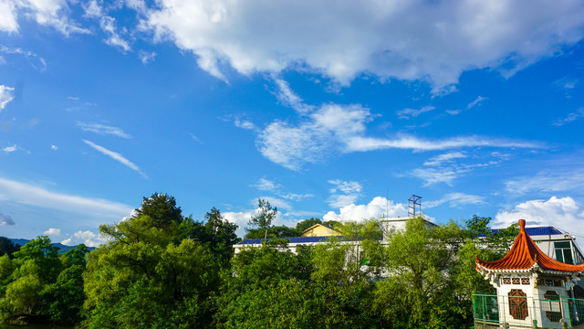 龙湖湿地公园