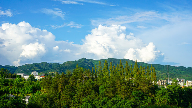 龙湖湿地绿之恋