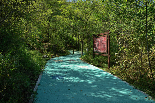 河北省石家庄市平山县黄金寨景区