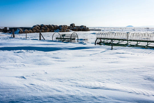 冬季草原雪原牧场