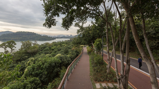 深圳淘金山绿道