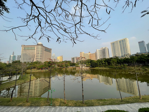 平静的湖面