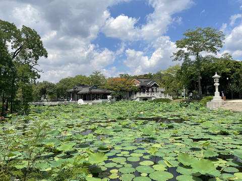 荷塘水榭