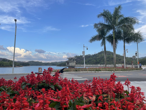 红花湖美景