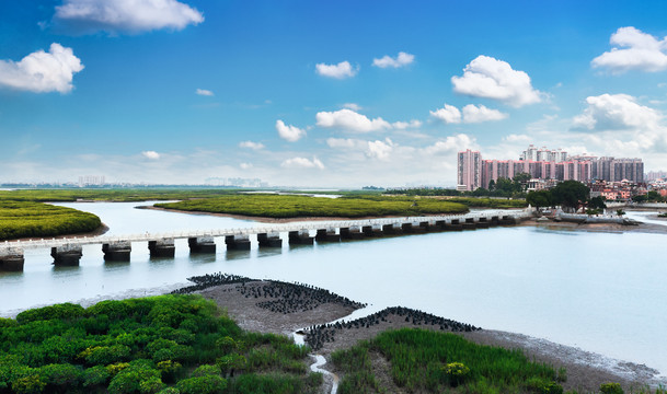 泉州洛阳桥风景区