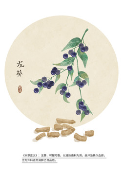 龍葵