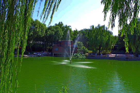 北京朝陽區麗都花園