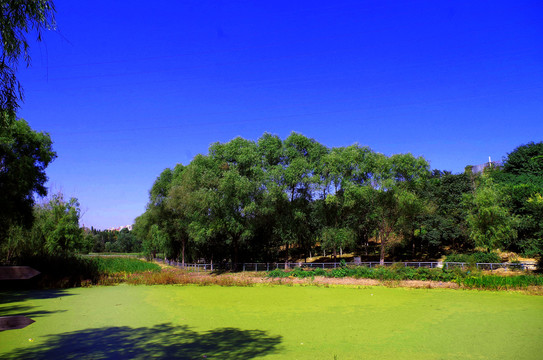 北京绿海运动公园