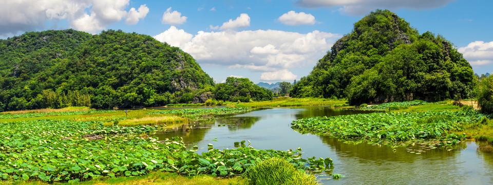 青山绿水