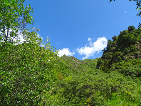 天空山坡