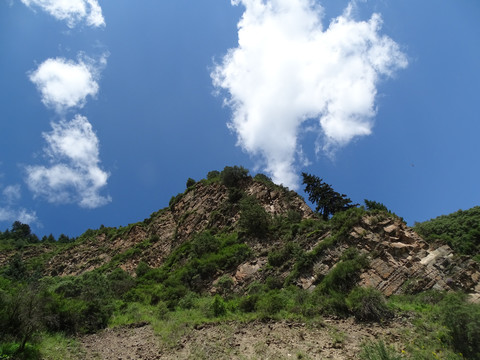 天空山坡