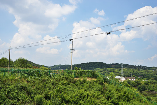 通訊線路