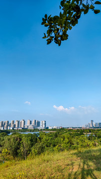 安徽合肥南艳湖风景