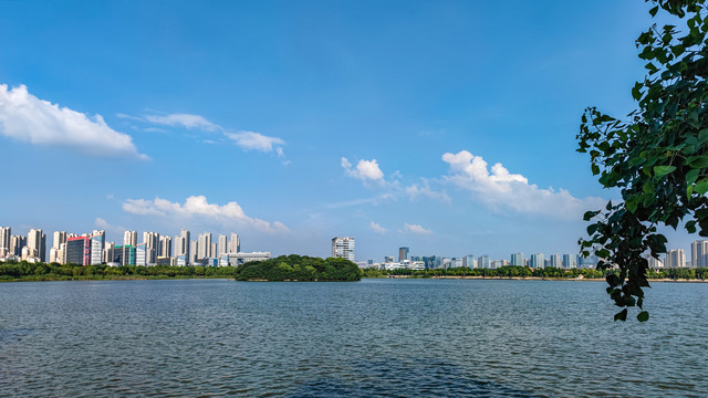 安徽合肥南艳湖风景