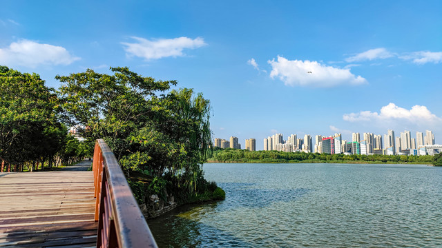 安徽合肥南艳湖风景