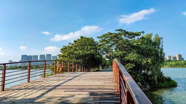 安徽合肥南艳湖风景