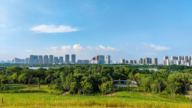 安徽合肥南艳湖风景