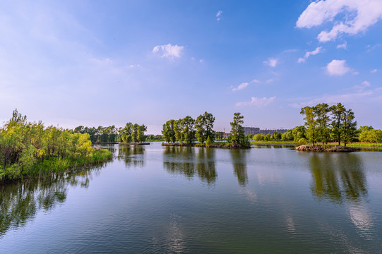 夏季的中国长春北湖国家湿地公园